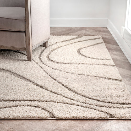 Wayfair 10' x 14' Shag Area Rugs You'll Love in 2023